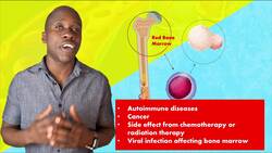 Disorders of Leukocytes/White Blood Cells - An Overview Instructional Video