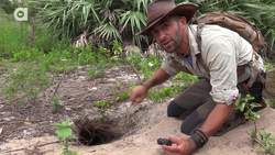 On the Lookout for the Mighty Gopher Tortoise! Instructional Video