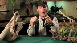 6 Care Tips for Tiger & Fire Salamanders Instructional Video