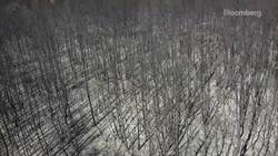 Drone Captures Devastating Aftermath of Greece Fires News Clip