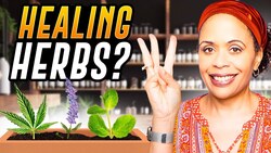 The Three Best Herbs To Fight Depression Instructional Video