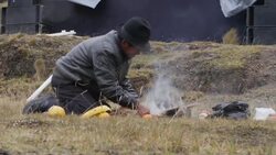 "Suicide" deaths of migratory birds baffle ornithologists Instructional Video