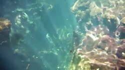 Underwater at Cenote in the Yucatán Peninsula, Mexico Stock Footage