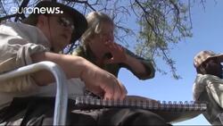 Capturing wildlife on Art Safari News Clip