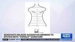 House panel releases lewd Epstein letter that Trump denies signing News Clip
