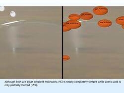 Acids, Bases and Salts Instructional Video