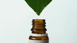 Drop falling from leaf into bottle, organic healthcare, homeopathy, macro shot Stock Footage