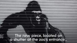Banksy unveils ninth artwork at London Zoo News Clip