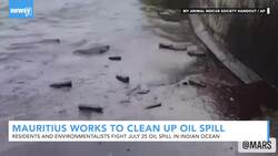 Oil Continues To Spill Into Indian Ocean Near Mauritius News Clip