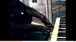 TED: The interspecies internet? An idea in progress | Diana Reiss, Peter Gabriel, Neil Gershenfeld and Vint Cerf Instructional Video