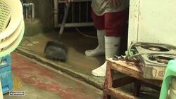 Six killed as Typhoon Noru powers across northern Philippines News Clip