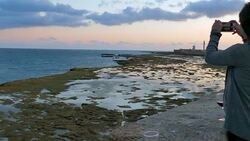 Wide Angle: Woman Taking Picture of Ocean at Dusk Stock Footage