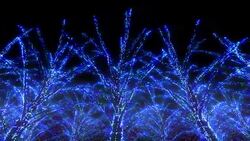 Neon Tree illumination Stock Footage