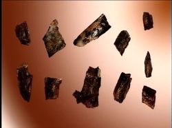 Prehistoric Man Human Evolution Upper Paleolithic - Early Modern Humans Instructional Video