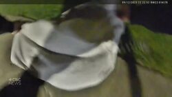 #TheMoment a lemur on the loose gets chased down by police News Clip