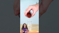 Why does Ketchup Flow so Slowly? Instructional Video