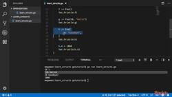 Learn Go in 3 Hours - Structs Instructional Video