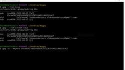 Git and GitHub Masterclass - Fast track your Journey to Git! - Exporting Public Key and Updating GPG Key on GitHub Instructional Video