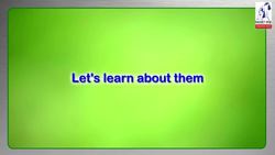 The types of angles. Instructional Video