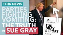 Sue Gray Explained: The Truth of Johnson's Lockdown Parties - TLDR News Instructional Video