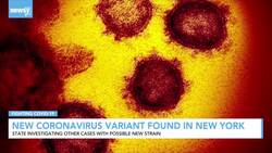 New Coronavirus Variant Found In New York News Clip