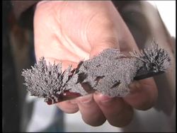 Magnetism: Magnetic Fields Instructional Video