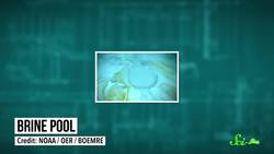 7 Things We Don't Know About the Ocean Instructional Video