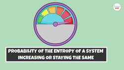 Boltzmann Brain Paradox Explained in Simple Words Instructional Video