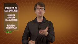 The Evolution of Getting Punched in the Face Instructional Video