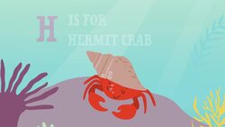 O is For Ocean Instructional Video