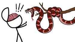 Welcome To MinuteEarth Instructional Video