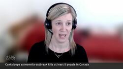 5 dead in cantaloupe salmonella outbreak News Clip