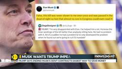 Elon Musk's Big Allegation On Trump | Claims US President In Epstein Files News Clip