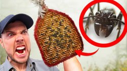 Eating Murder Hornets! Most Painful Bug Rituals Instructional Video