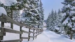 Winter mountain landscape Stock Footage