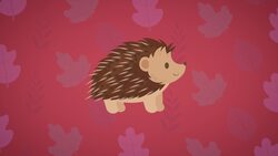 Five Facts - Hedgehogs Instructional Video