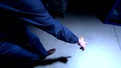 DIY Sci: Soup Can Races Instructional Video