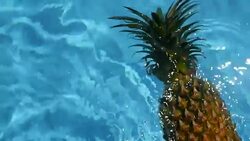 Pineapple Floating In blue Water In Swimming Pool. Healthy Raw Organic Food. Juicy Fruit. Vegetarian, Vegan Nutrition, Vitamins, Diet, summer holidays, vacation concepts. Exotic tropical background Stock Footage