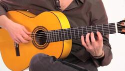 Flamenco Guitar Left-Hand Technique: How to Play Slurs Instructional Video