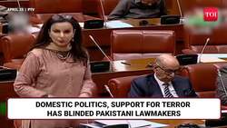 'India Changing Kashmir Demography': Shock 'Justification' Of Pahalgam Attack From Pakistan | Watch News Clip