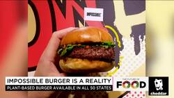 Impossible Foods Wants to 'Serve the World,' Expands Meatless Burger to Stores News Clip