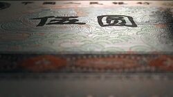 5 Chinese Yuan Front Micro Displacement Close Up Macro Stock Footage