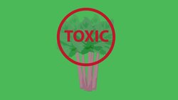 Other Acids Instructional Video