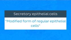 Sweat glands Instructional Video