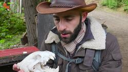 Wolverine Face-Off! Instructional Video