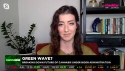 Future of Cannabis Legalization in America News Clip