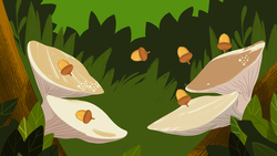 Acorn Instructional Video