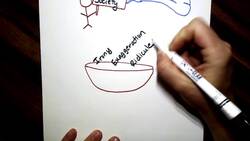 Satire and Society Instructional Video