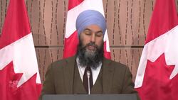 'Ensure that no one falls through the cracks': Singh News Clip