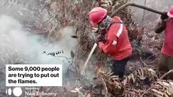 Indonesian Wildfires Spread Noxious Haze Across Southeast Asia News Clip